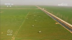 地腐竹财产成长得绘声绘色